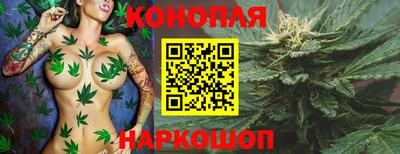 стафф Малгобек